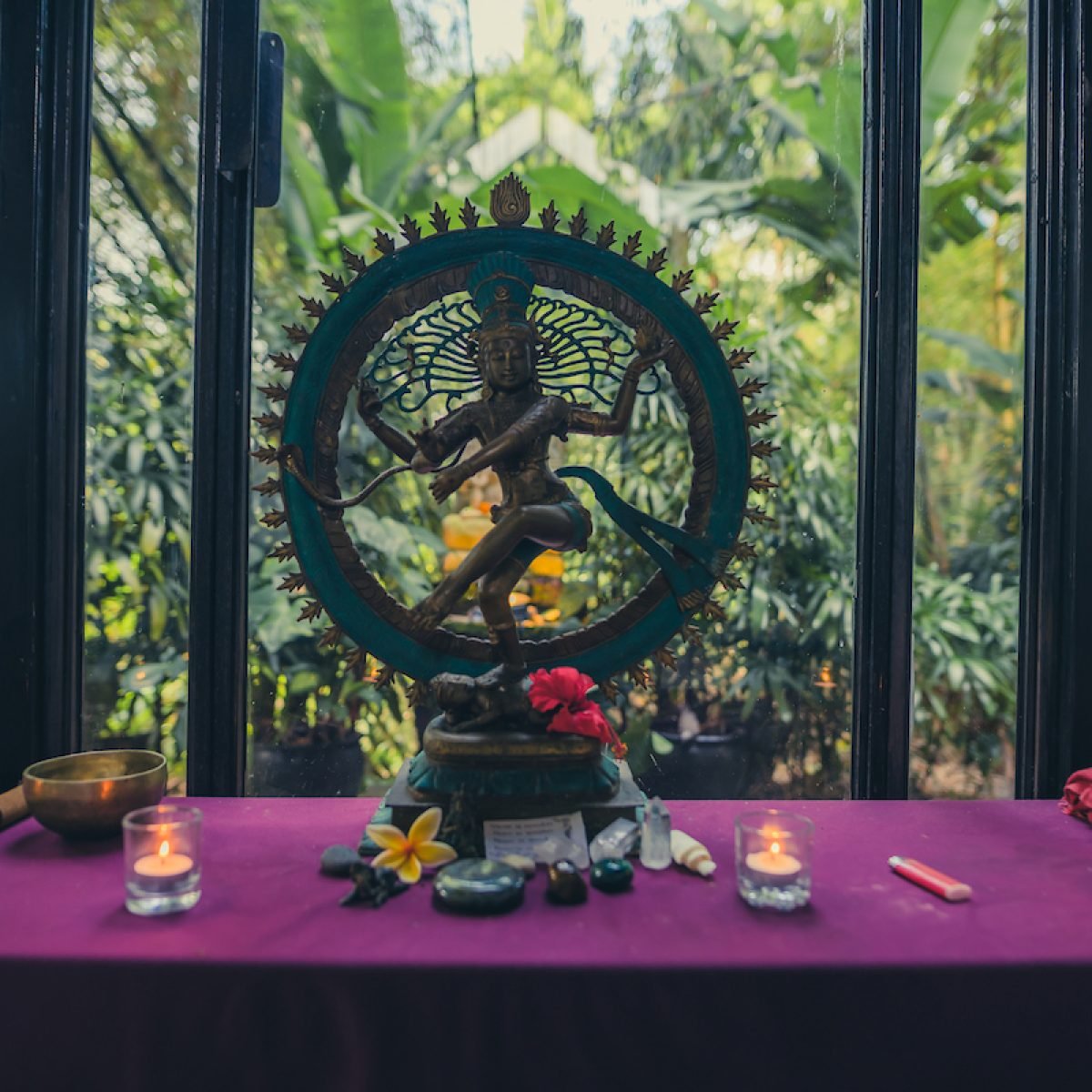 Tara Judelle Yoga Barn Oct 2025-7603